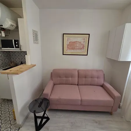 Du Jardin Des Plantes *